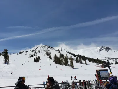 20190517_112223 (Large).jpg